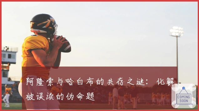 阿隆索与哈白布的共存之谜：化解被误读的伪命题